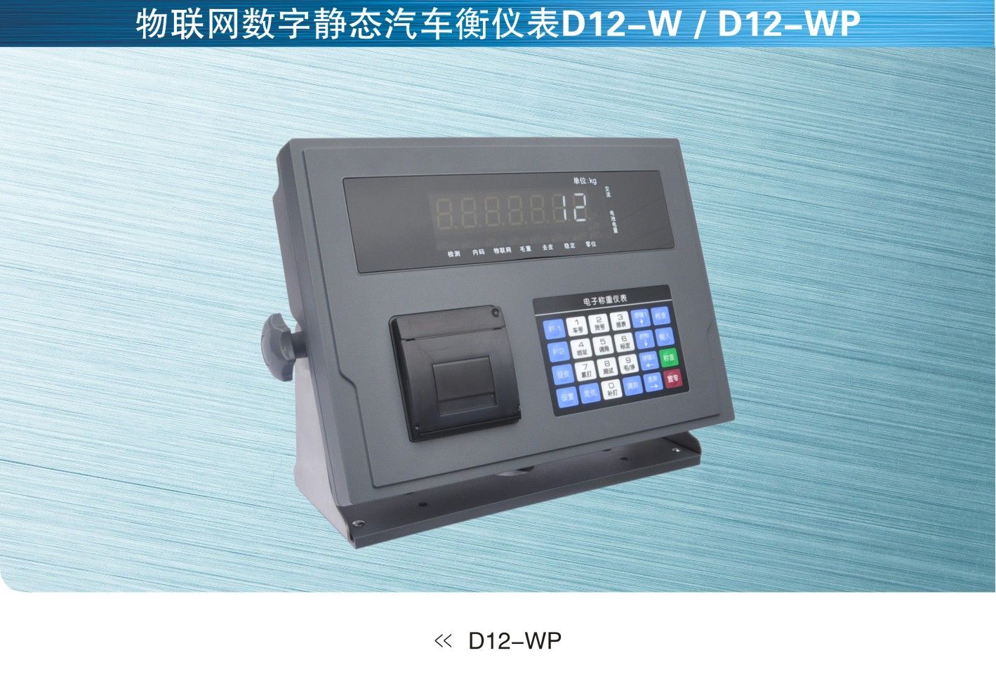 物联网仪表D12